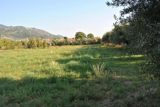 Campo di Via Catene dove si è svolto il primo Palio dei Micci