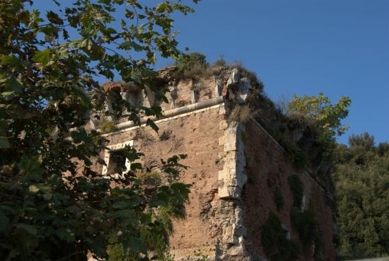 Torre della Cervia