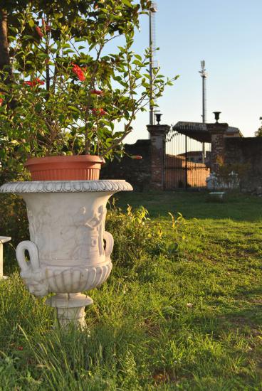 Villa Bagni Amadei, particolare del giardino sul retro